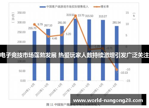 电子竞技市场蓬勃发展 热爱玩家人数持续激增引发广泛关注