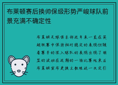 布莱顿赛后换帅保级形势严峻球队前景充满不确定性